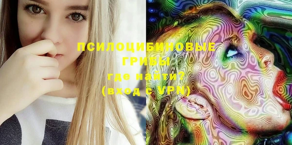 стафф Абинск