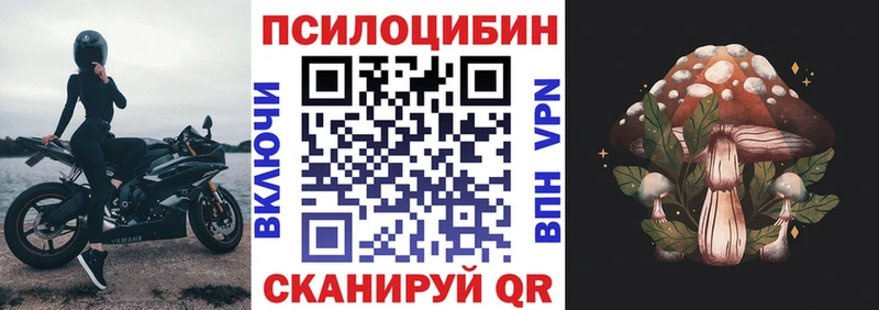 наркота  Новая Усмань  Псилоцибиновые грибы Psilocybe 